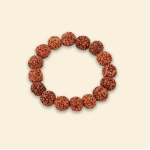 Manka Rudraksha Bracelet - traditional spiritual jewellery